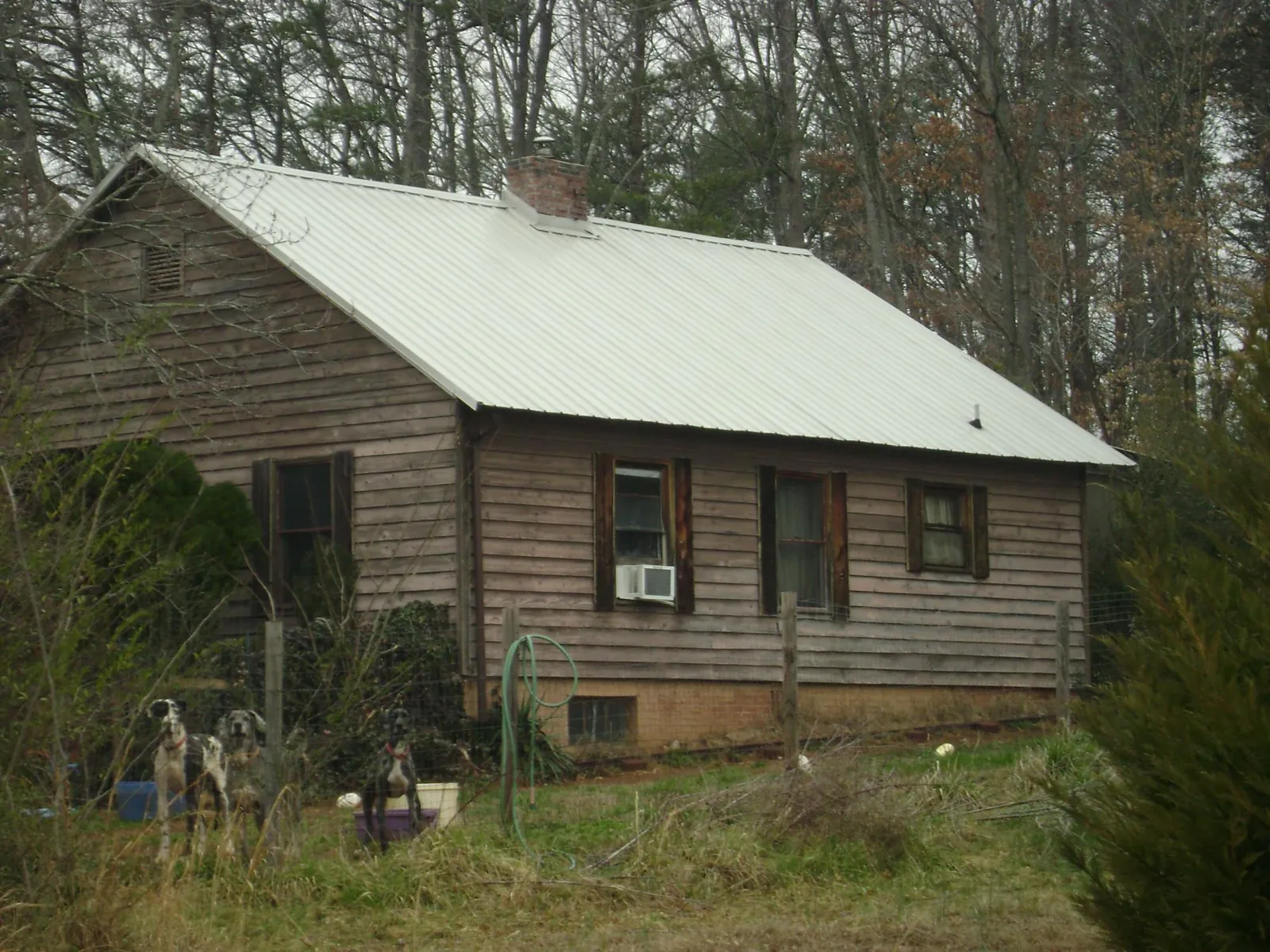 White metal roof on an old wood sided farmhouse, from a Asphalt Shingle Roof Repair job in Pelican Rapids